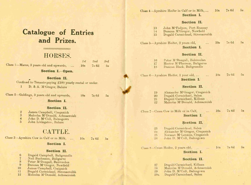 Show Entries