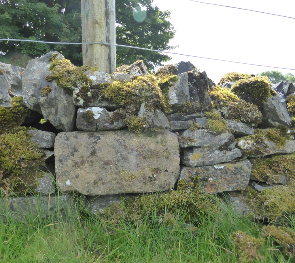 Blocks of Morvern sandstone in walls near the church