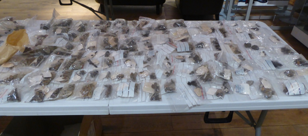 Sorting the finds on arrival on Lismore