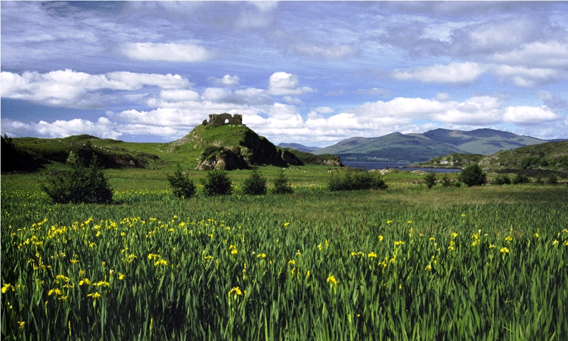 Medieval Weekend 7-9 August 2015