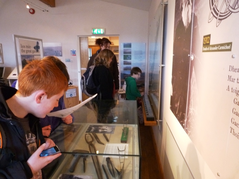 Great Auks in the Museum