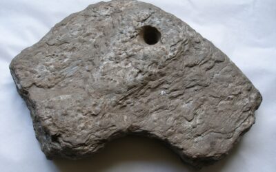 Fragments of the top stone of rotary querns
