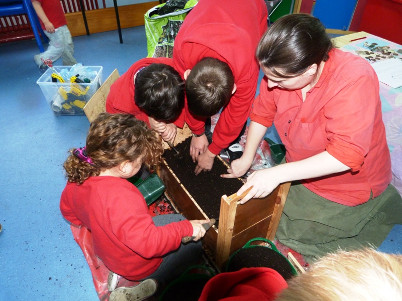 Archaeology at Lismore Primary November 2012