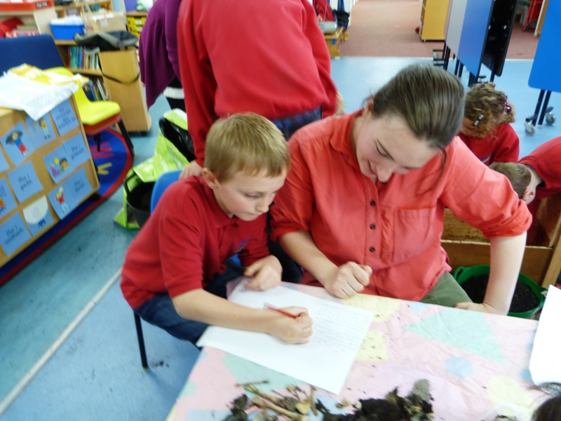 Archaeology at Lismore Primary - November 2012