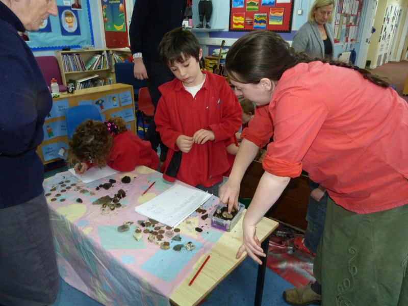 Archaeology at Lismore Primary - November 2012