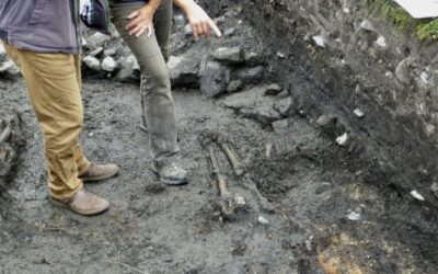 Introducing Our Archaeologists