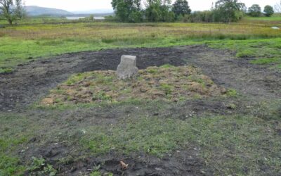 The Big Dig 2021 — Final Report