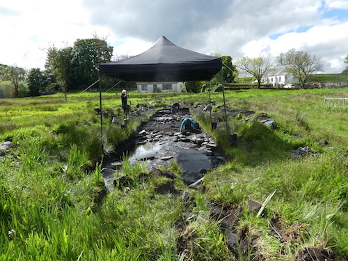 The Glebe field May 2022