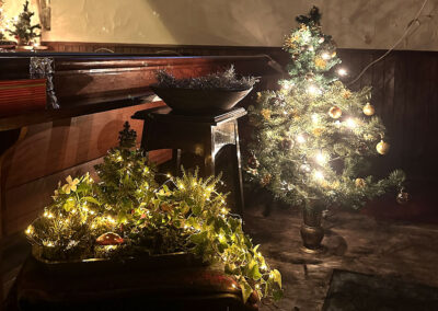 Christmas tree festival 2023