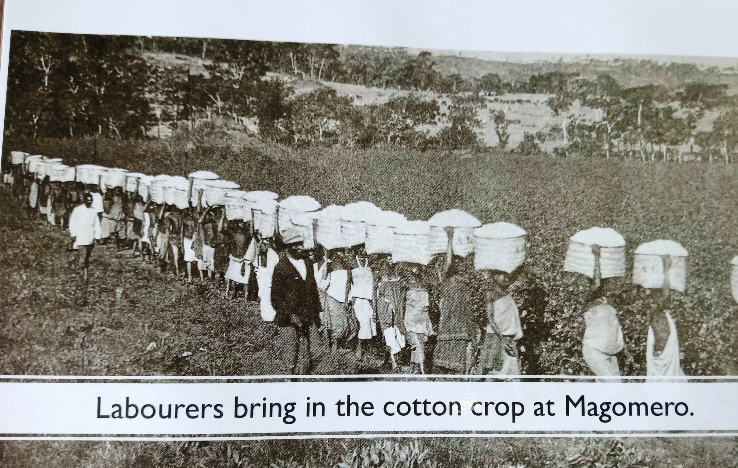 Exhibition 2026 Magomero estate tragedy